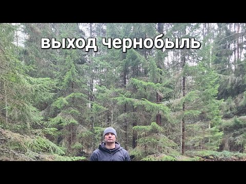 Побег из Украины через Чернобыль.