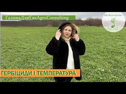 Fall herbicide application: reduced temperatures and fluctuations. Slowly, but they work!