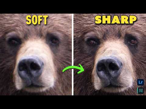 How to Sharpen & Remove Noise for Crystal Clear Photos (Fast & Easy!)