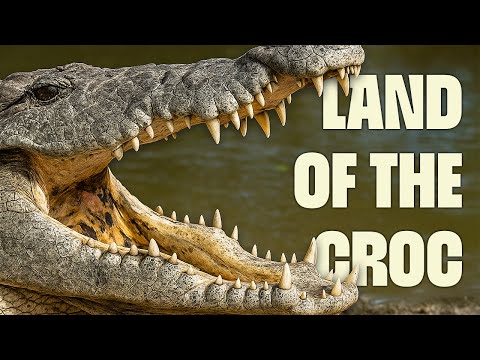 The Harsh Beauty of Lake Turkana | FULL DOCUMENTARY | Wildest Africa