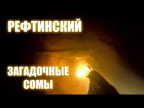Подводная охота на рефтинском
