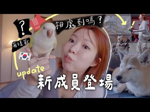 點解突然養鸚鵡？柴犬激崩潰?!!?港女育鳥寶全紀錄！新手準備物開箱+外出攻略