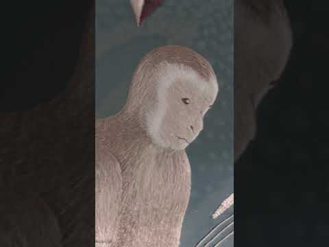 Armani/Casa for Milano Design Week 2025