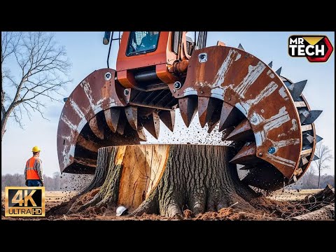 Extreme Dangerous Fastest Big Chainsaw Cutting Tree Machines | Monster Stump Removal Excavator #49