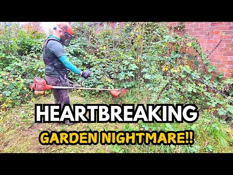 I Helped a SINGLE DAD in HEALTH Crisis and Here's What Happened!