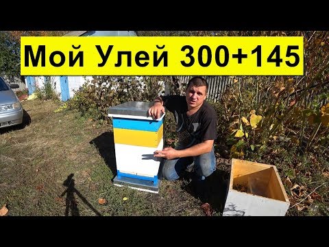 Simple Hive ✅ For a Large Apiary 🐝 300+145
