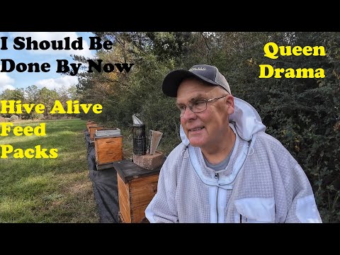 General Beekeeping, Queen Drama, & Feeding