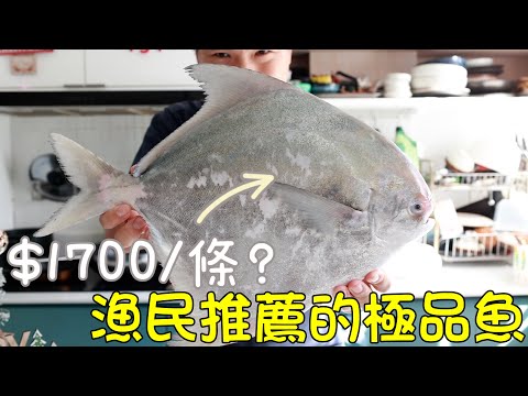 海鮮圖鑑︱竟然要 $1700/條!!!! 再做一回土豪吧！本地漁民推薦的超貴極品大海魚