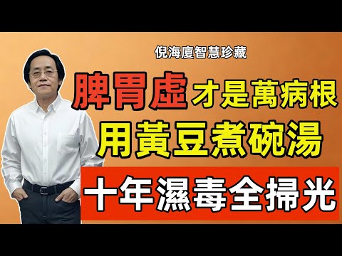 倪海廈：脾胃虛、百病生！喝上這碗黃豆湯，排出10年濕毒，現在知道還不晚！