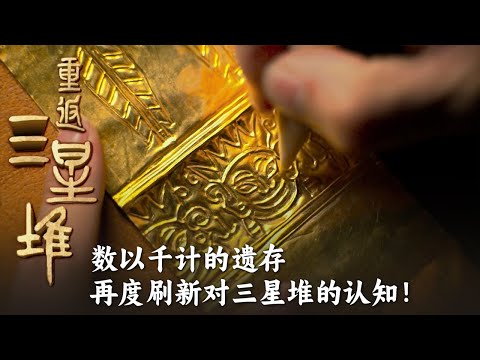 千年黄金宝藏 神秘木箱 青铜龟背形器物 数以千计的珍贵遗存 再次刷新人们对三星堆的独特认知！——《重返三星堆》合集 丨 中华国宝