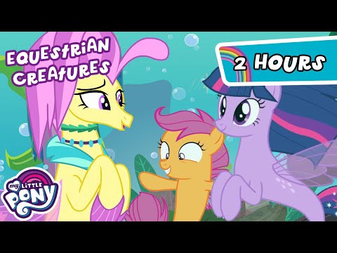 Discover the Creatures of Equestriaππ¦π§ββοΈ | 2 HOUR | My Little Pony: Friendship is Magic