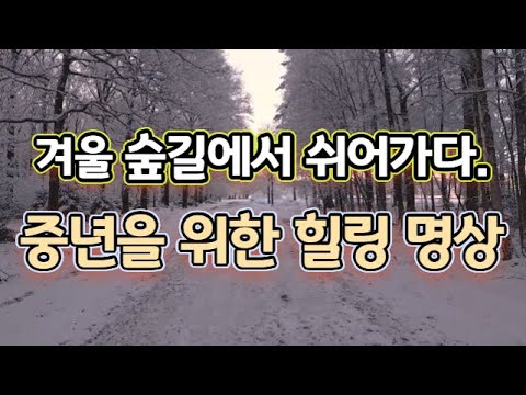 ❄️ 마음을 내려놓는 중년 겨울 숲길 명상  🌱 매일 아침 9시 · 저녁 9시, 중년의 하루를 지켜주는 치유 명상｜#MeditationMusic 🍃#중년명상음악#힐링명상음악