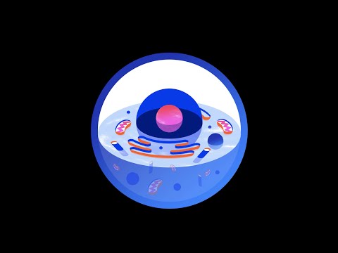 Mitochondria: An energy explanation for autism