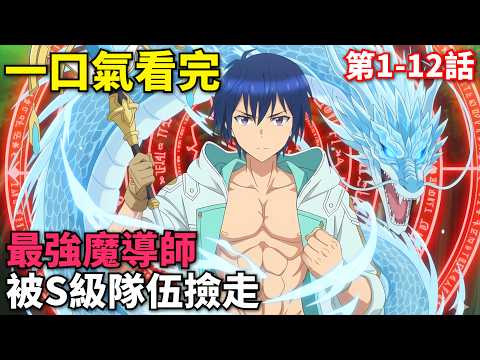 一口氣看完！最強白魔導師被勇者隊伍驅逐，被S級冒險者強行拉入隊伍，意外成了拯救世界的英雄！第1-12話，七月新番