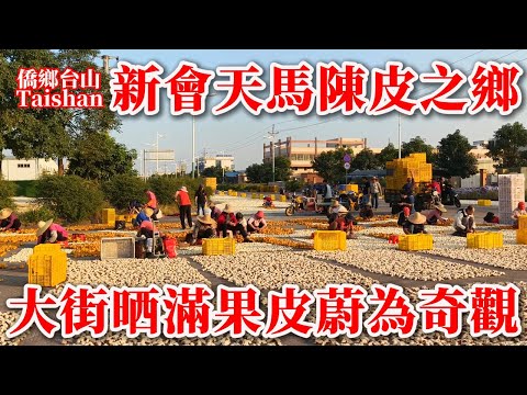 A stroll through Tianma Village, the core production area of ​​Chenpi (dried tangerine peel) in X...