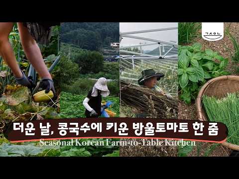 여름 끝자락, 녹은참외, 참깨 털고 바질따는 농막 일상｜콩국수·등갈비찜·갱숙이네 제철밥상