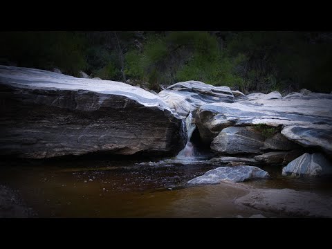 Water Harvester: An Invitation to Abundance