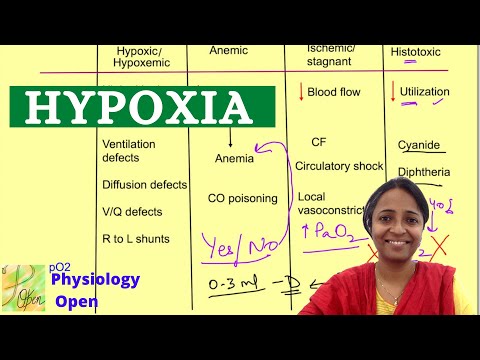 Types of Hypoxia physiology mbbs 1st year | Respiratory system physiology