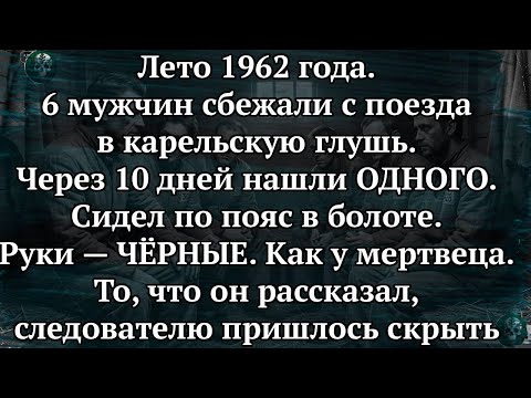ВЫПИЛ В ПОСЛЕДНЮЮ НОЧЬ! Что УВИДЕЛ беглец в КОРЕЛЬСКОЙ ГЛУШИ