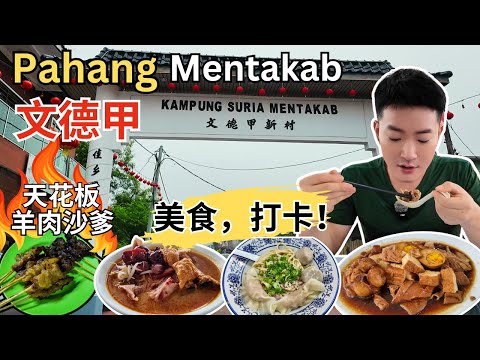 [Pahang文德甲Mentakab～美食, 打卡] 新村泰国东炎！新村咖喱鸡脚面！大三元沙田鸡！Taman Rimba 沙爹！彰哥客家面！Maria苏东椰浆饭！ABC美食广场！联兴海南茶室！有碗板面