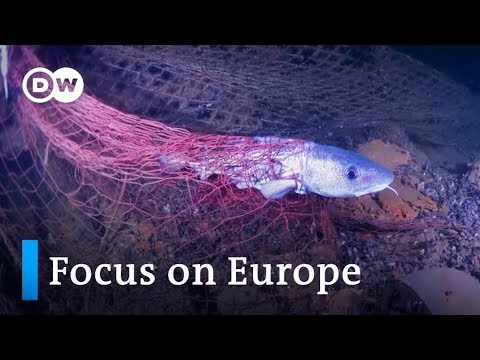 Busting ghost fishing nets in the Baltic Sea | Focus on Europe
