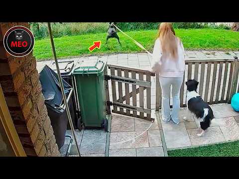 Moments When Things Went Wrong (P128)