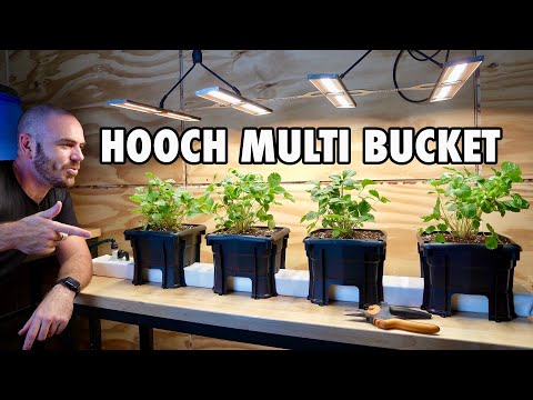 Introducing the Hooch Multi Bucket Hydroponic System