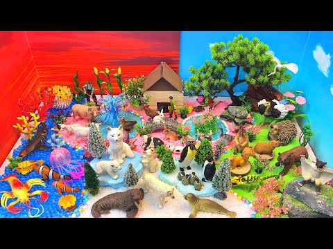 Explore Forest, Ocean, Farm & Arctic Animals| Learning for Kids