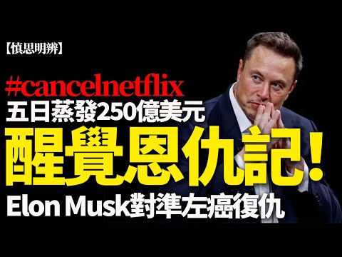 【慎思明辨】Elon Musk向左癌開刀！一句 CancelNetflix 5日蒸發250億美元！跨性別動畫與父女決裂的新仇舊恨，十倍奉還！