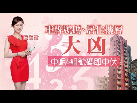 車牌號碼 居住樓層 大有學問｜住中呢幾層大凶｜4字唔係咁差？｜車輛顏色要點揀？