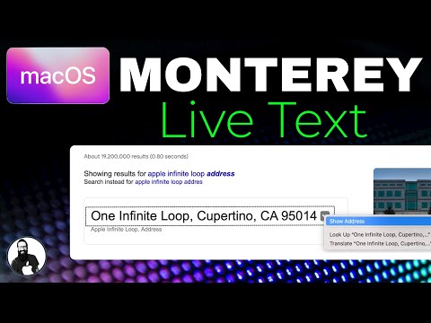 Live Text in Photos in MacOS Monterey!