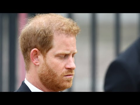 Prince Harry labelled a ‘glorified house husband’ for ‘not doing anything’ with his life