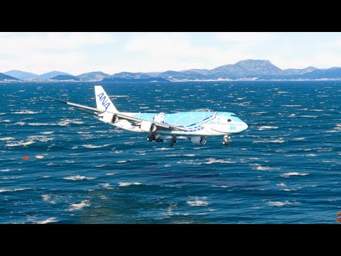 the carelessness of an airplane pilot 0204