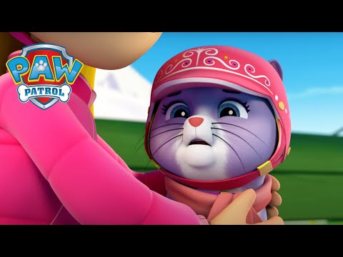 可怕的电梯 - PAW Patrol 汪汪隊立大功 - 兒童卡通