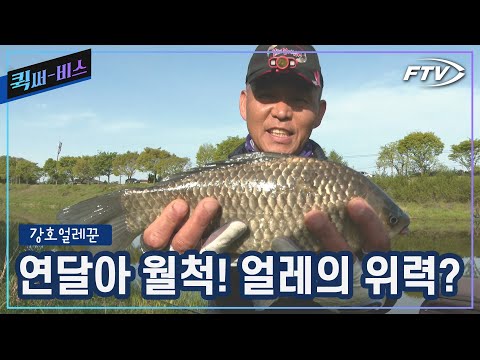 [Full/퀵써-비스] 앉은 자리에서 연달아 월척 3마리를 낚아내는 얼레의 위력[강호얼레꾼/2회]
