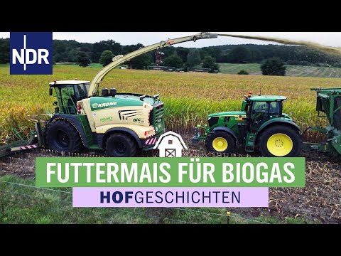 Futtermais-Ernte mit imposanten Maschinen | Hofgeschichten (354) | 07.11.2025 | NDR