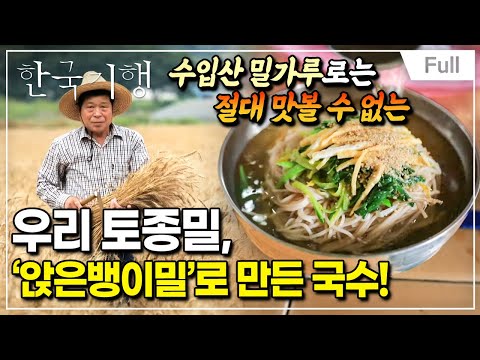 [Full] 한국기행 - 맛의 방주 제3부 앉은뱅이밀과 팥장, 그 추억의 맛