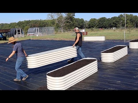 We Filled ALL 21 Raised Beds with AMAZING Compost And Saved a Ton of Money!