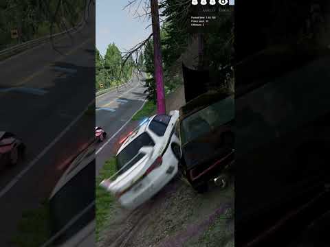 Police car sacrifices itself