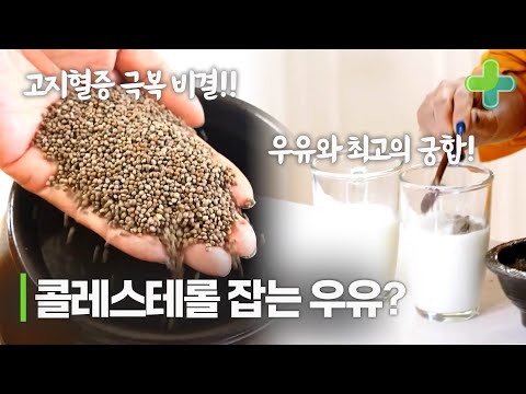 우유와 '이것'을 같이 먹고 콜레스테롤 확 낮췄다!?