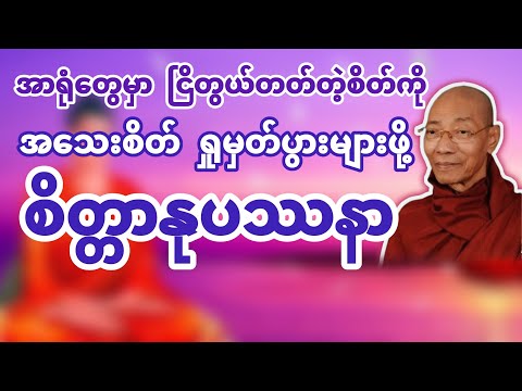 စိတ္တာနုပဿနာ (စိတ်ကိုရှုမှတ်နည်း) ပါချုပ်ဆရာတော် @dhammasitala