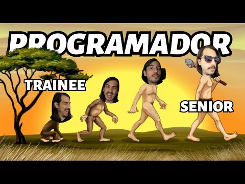 The Evolution of a Programmer in Business