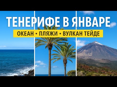 Тенерифе зимой. Тенерифе в Январе.  #travel #тенерифе #испания #tenerife #tenerifebeach