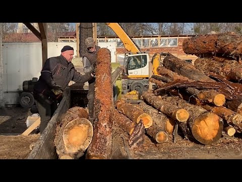 EXTREME Shredder Against ENORMOUS Log Blockage.