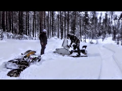 Taiga, New Year's adventures! Review of the ARTELV collar. How it was!