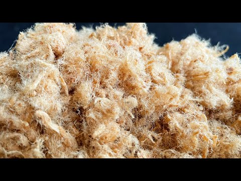 自制肉松 | 这个办法太棒了，做出毛绒绒蓬松感的肉松| Homemade Pork Floss