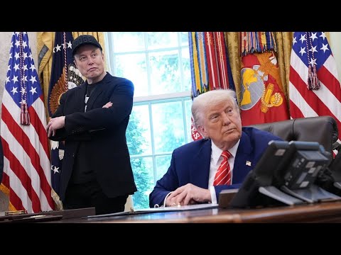 Trump Feud a 'Disaster' for Musk, Ross Gerber Says