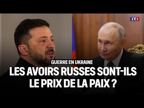 Ukraine : les avoirs russes sont-ils le prix de la paix ?｜LCI