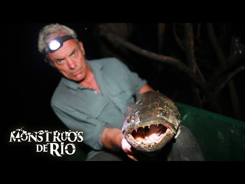 Asesino de la Selva: Más Temible que las Pirañas | T3 E07 | Monstruos de Río