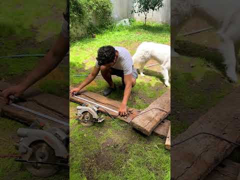 Las luces lo son todo